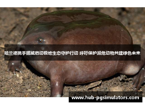 哈兰德携手挪威启动极地生态守护行动 呼吁保护濒危动物共建绿色未来