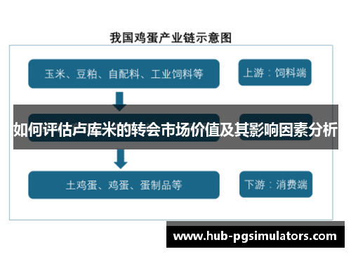 如何评估卢库米的转会市场价值及其影响因素分析
