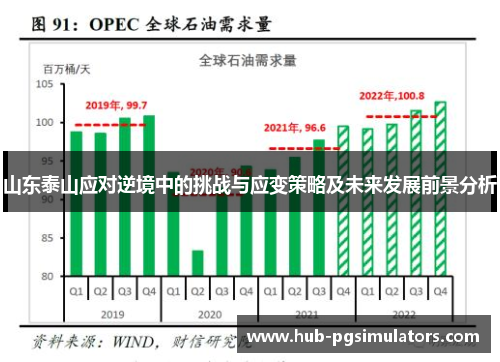 山东泰山应对逆境中的挑战与应变策略及未来发展前景分析