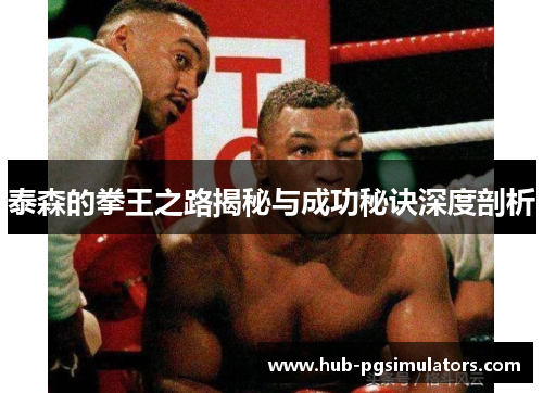 泰森的拳王之路揭秘与成功秘诀深度剖析