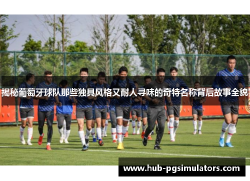 揭秘葡萄牙球队那些独具风格又耐人寻味的奇特名称背后故事全貌