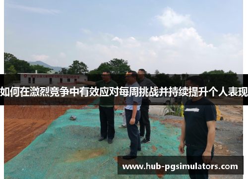 如何在激烈竞争中有效应对每周挑战并持续提升个人表现